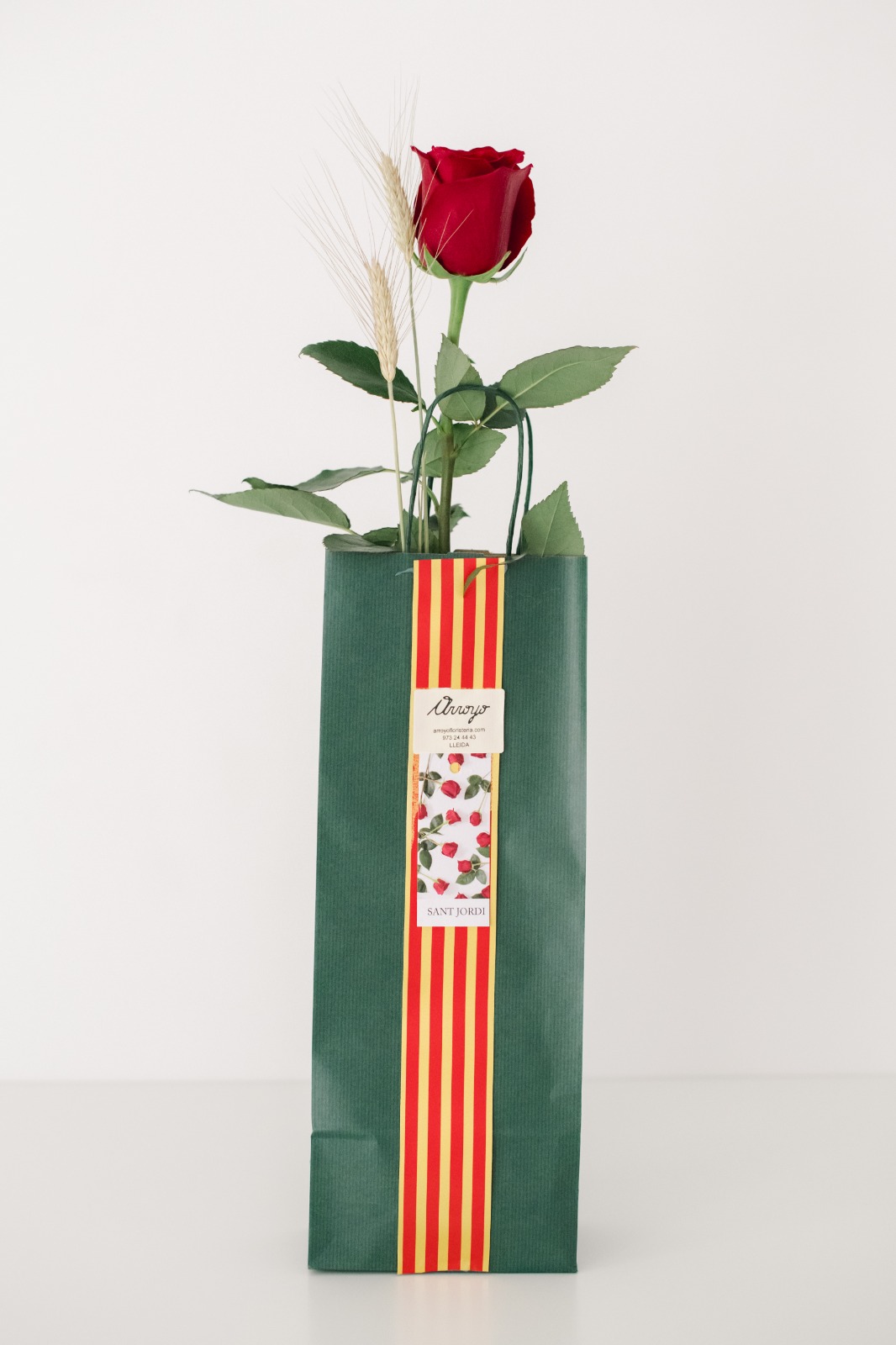 rosa sant jordi en bolsa verde (tomando agua) (5) - ARROYO FLORISTERIA  LLEIDA FLORES CEREMONIAS EVENTOS PLANTAS ROSAS SANT JORDI SANT VALENTIN  NACIMIENTOS PELUCHES PELUIX CORONAS FUNERARIAS JARRONES CORONES FUNERARIES  COMPLEMENTOS ONLINE