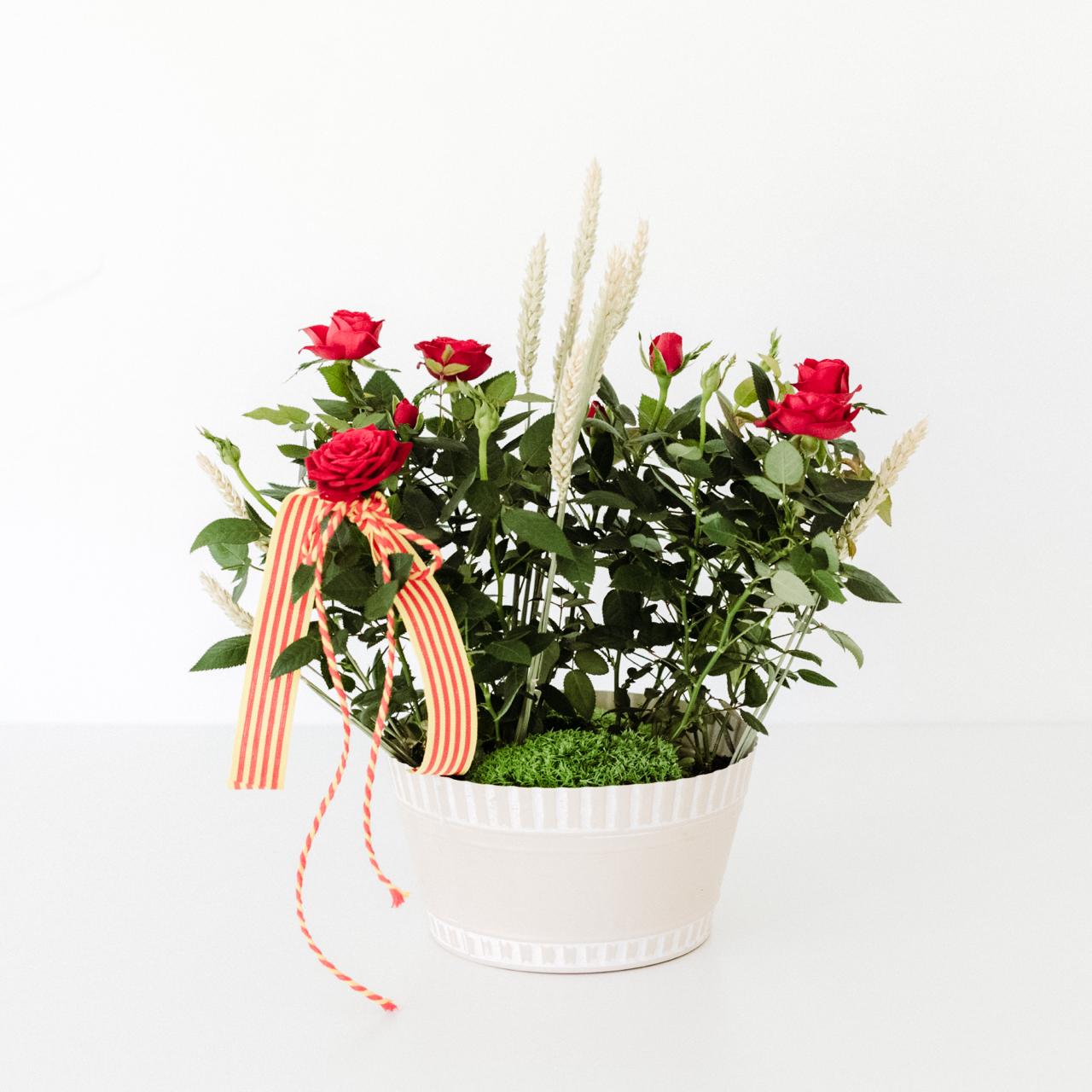 WhatsApp Image 2026-04-14 at 11.23.52